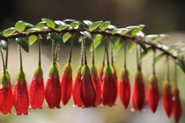 珠海金湾区2私人快速借钱网，轻松解决资金难题