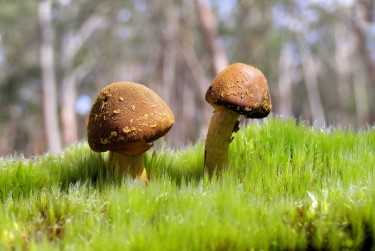 珠海金湾区2私人老板放款：轻松融资的秘密通道